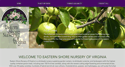 Desktop Screenshot of esnursery.com